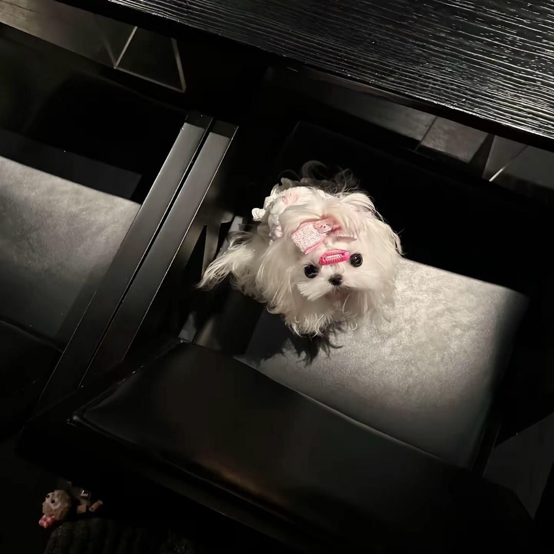 有点小u伤