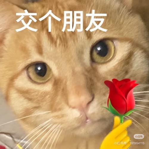 【互关🐯互助🔥一千粉】