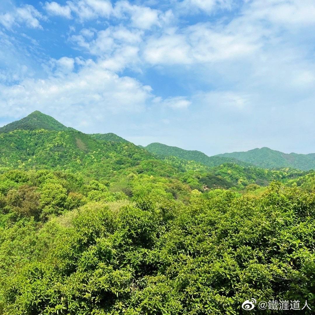 我都想笑了