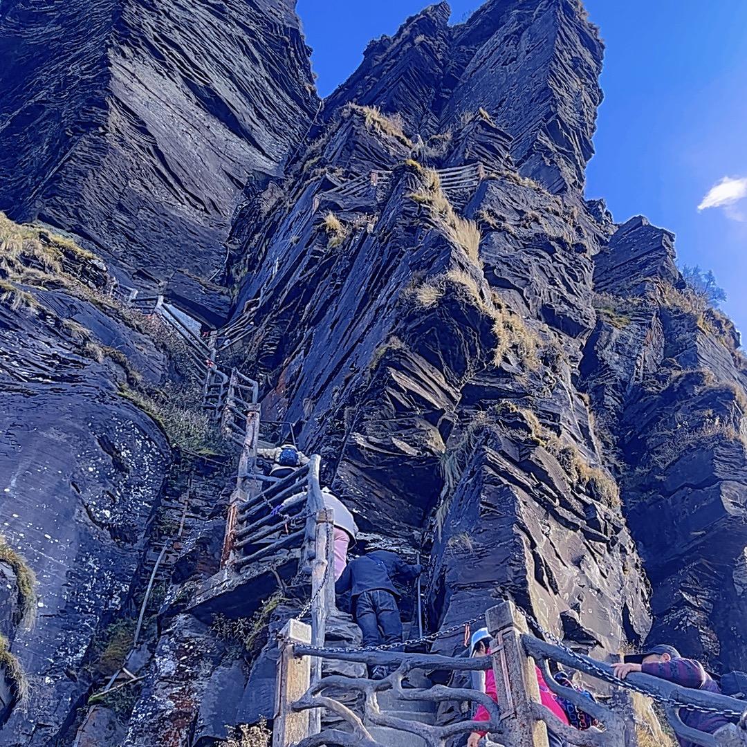 ๑˙❥˙小太阳🫧