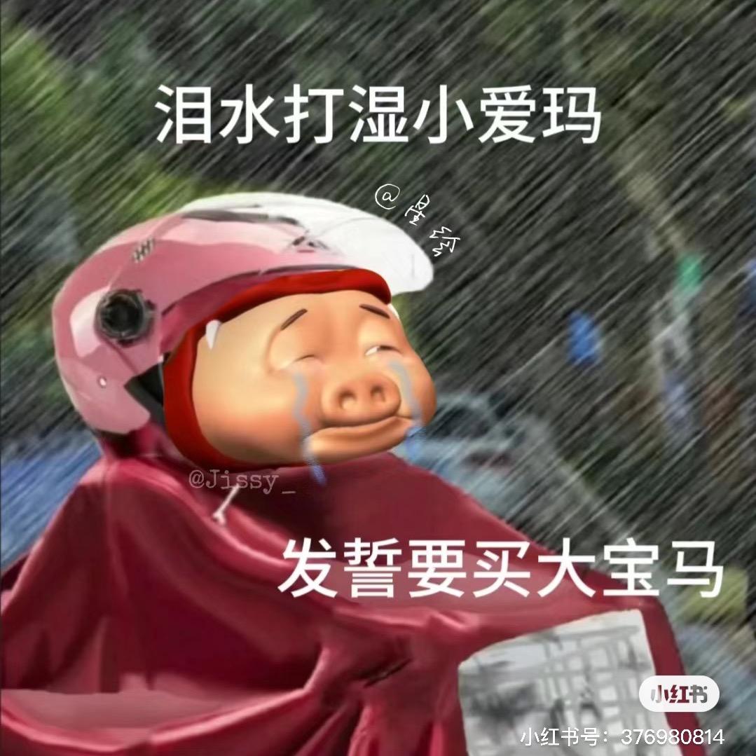行走的大母猪