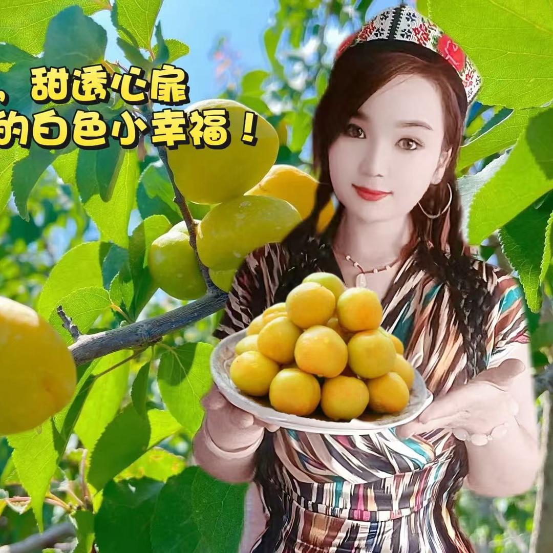轮台心味干鲜果店