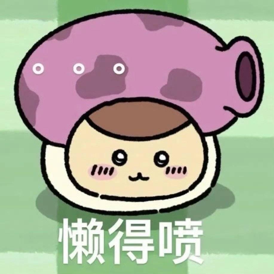 —yo