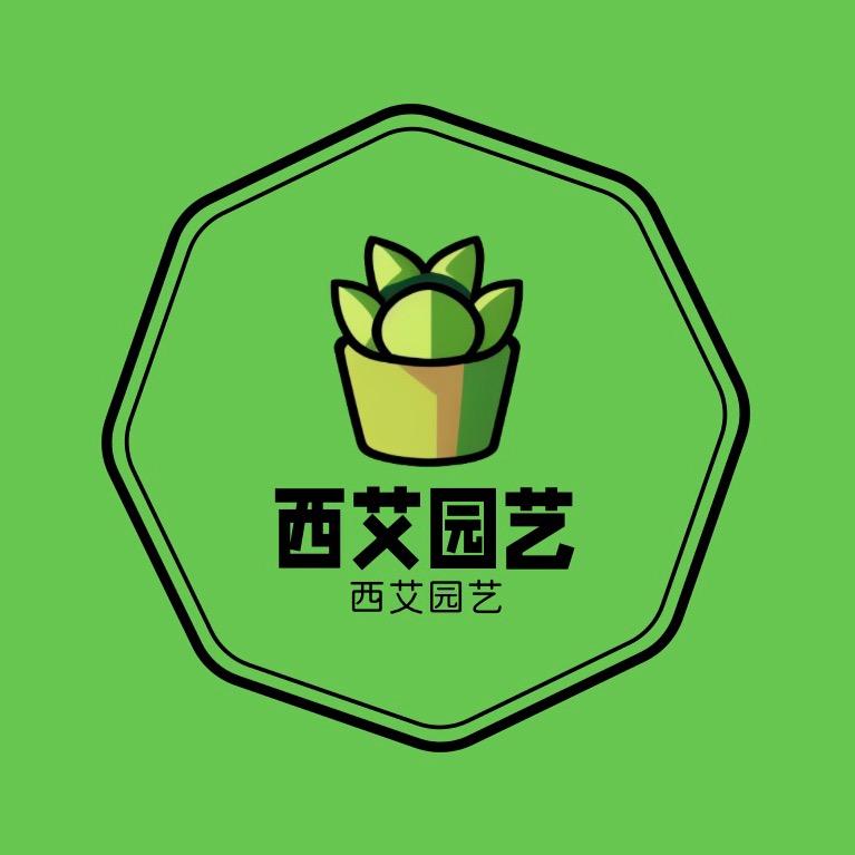 西艾多肉-小程