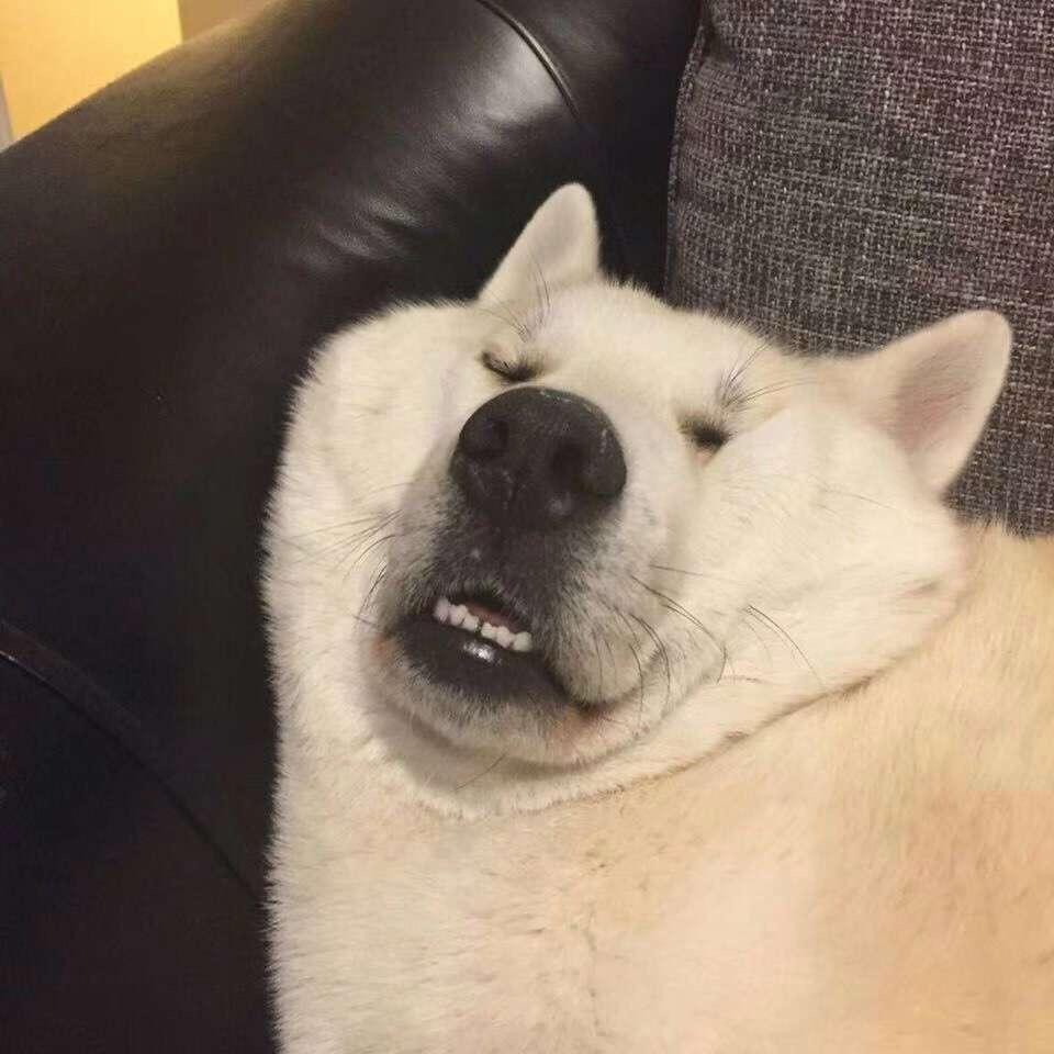 杰瑞