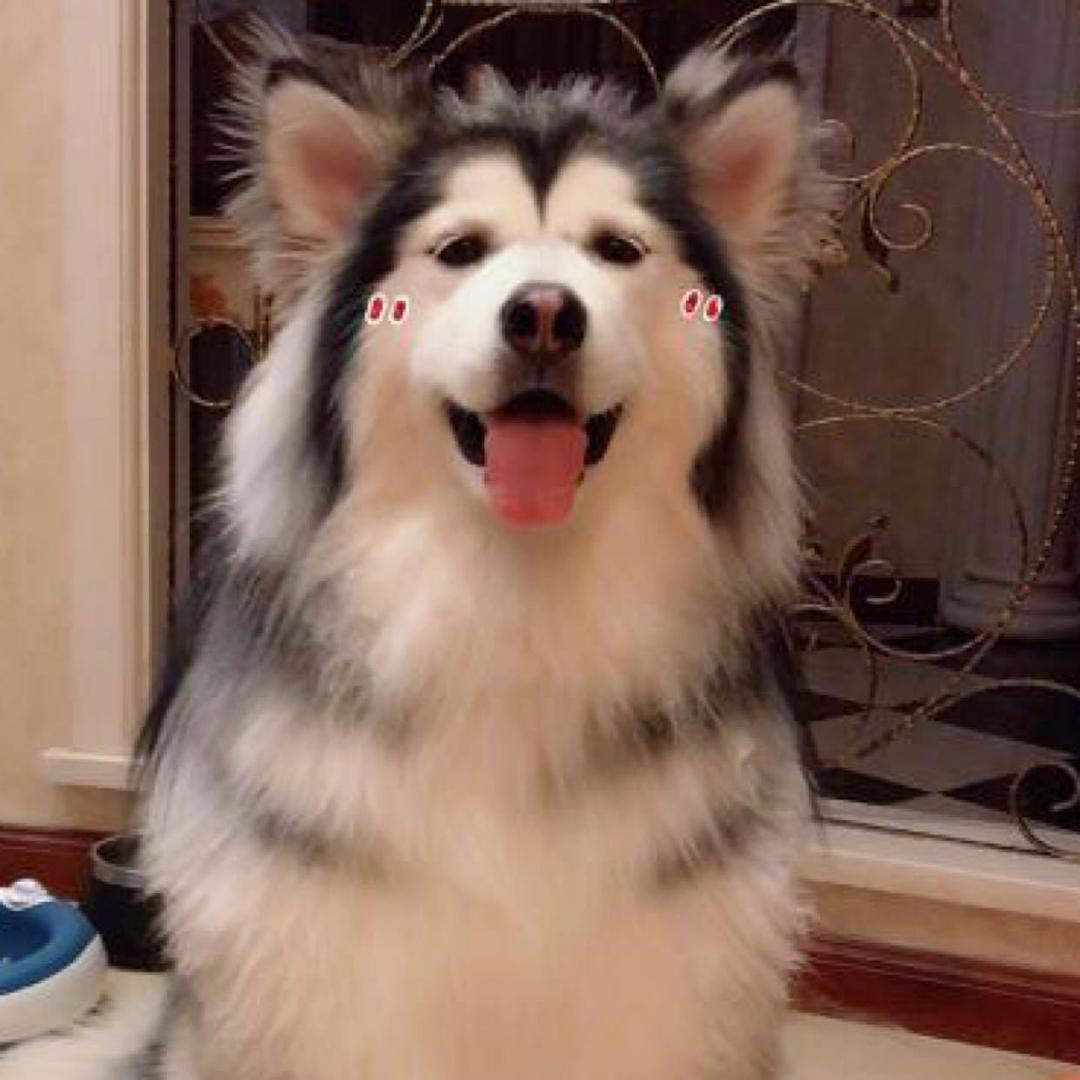 🌈我就说好喝吧