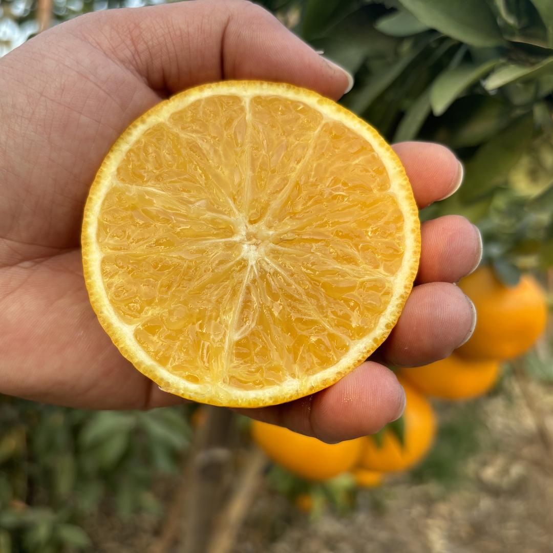 璐璐阿美果蔬旗舰店