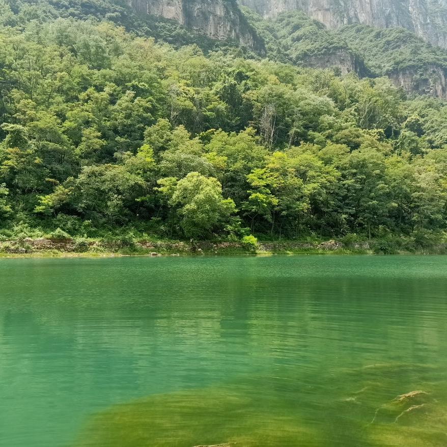 柯茗养殖场