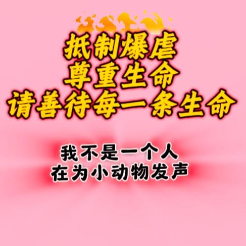 王大憨💫为小动物发声
