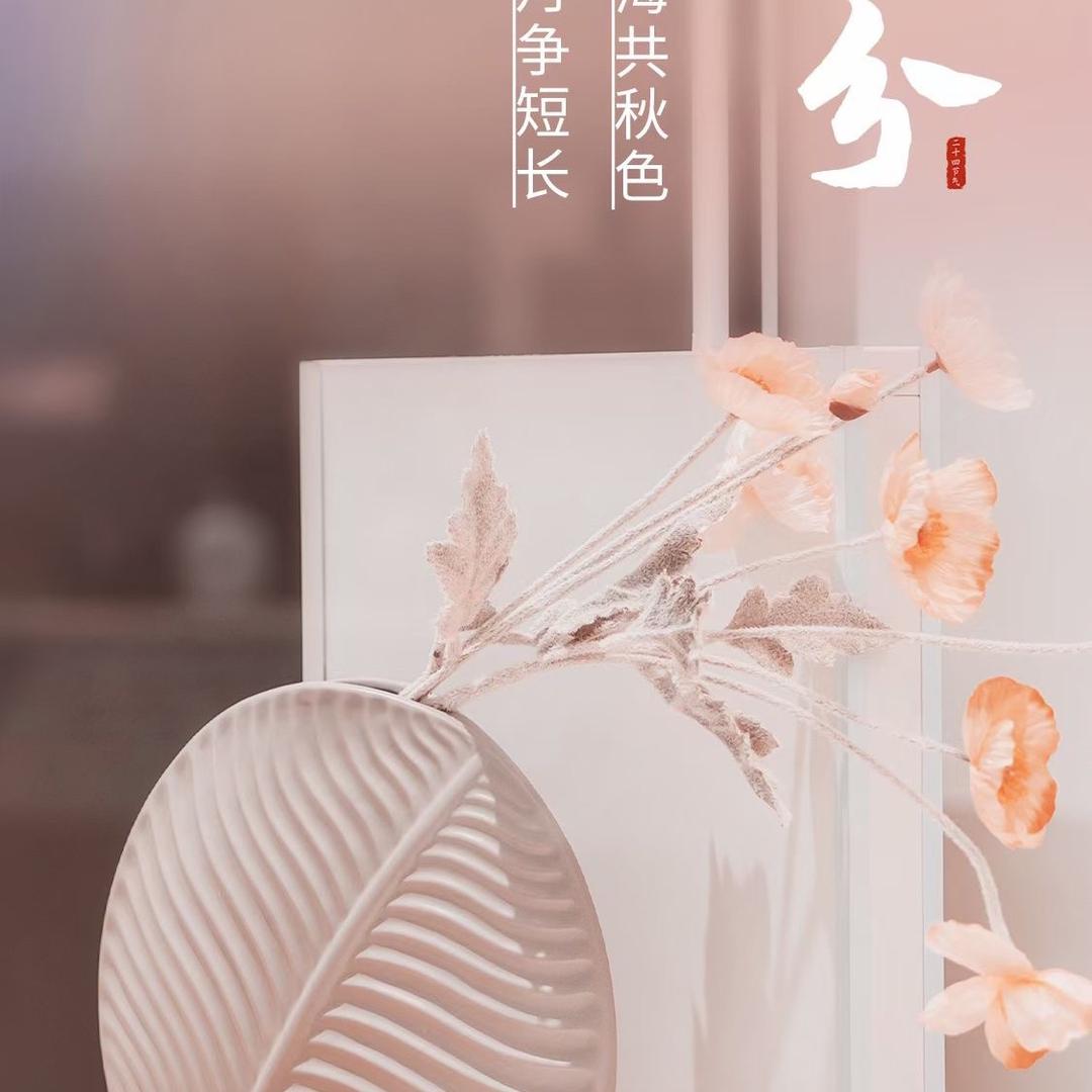 大信全屋定制