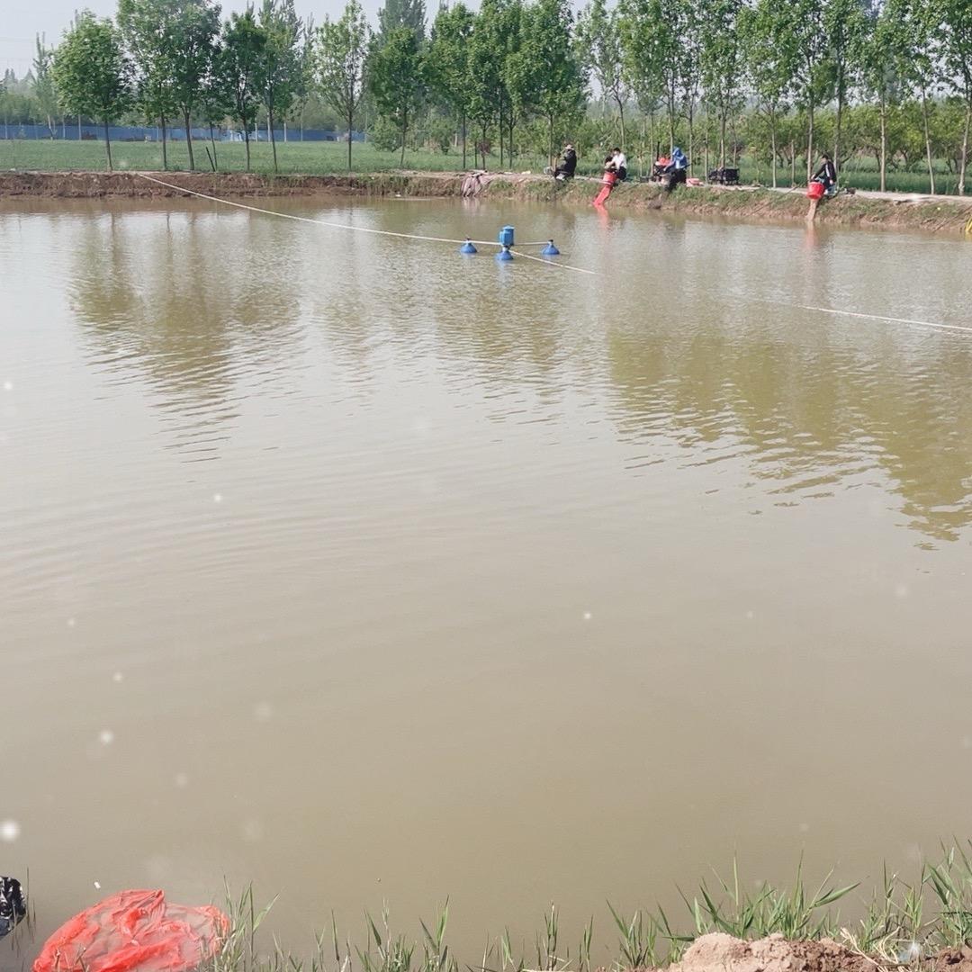 户部寨左店村正南垂钓园