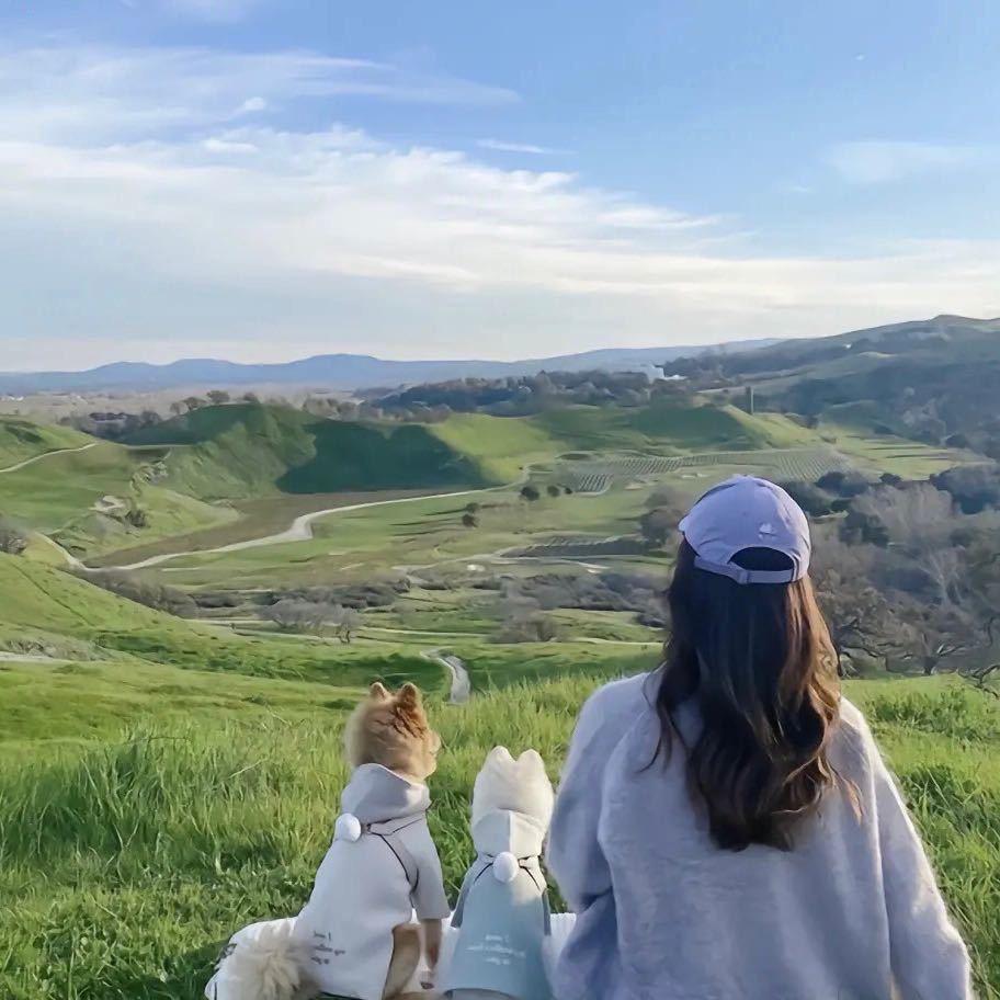 漫画店数羊的奔波尔灞