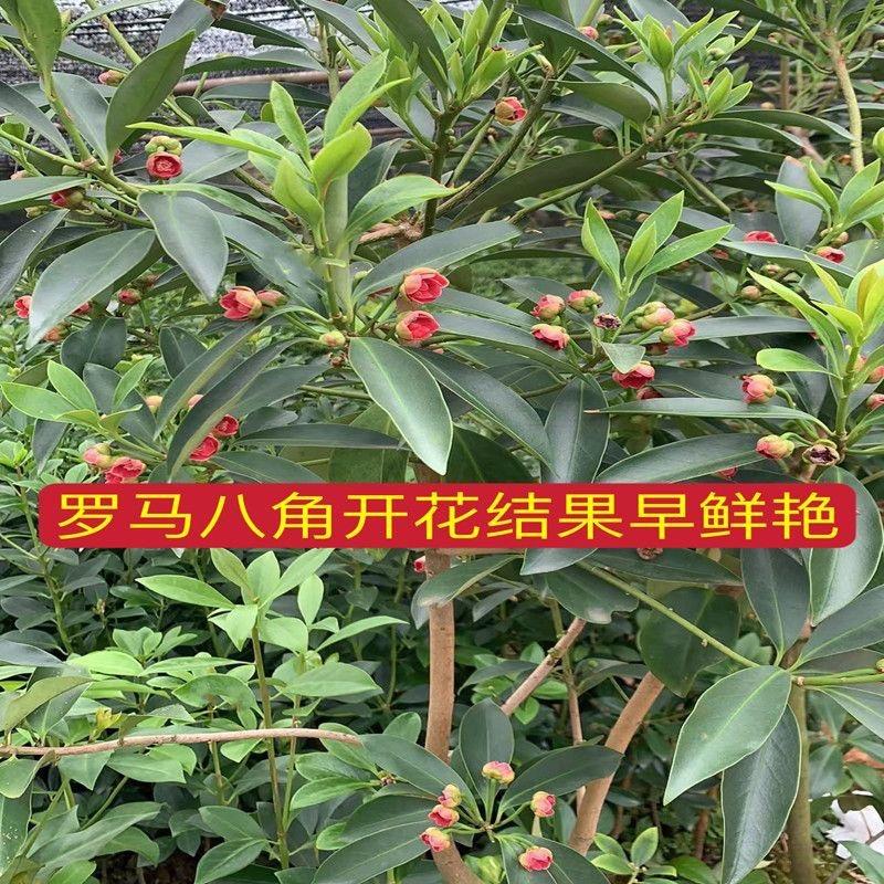 钰兰农业