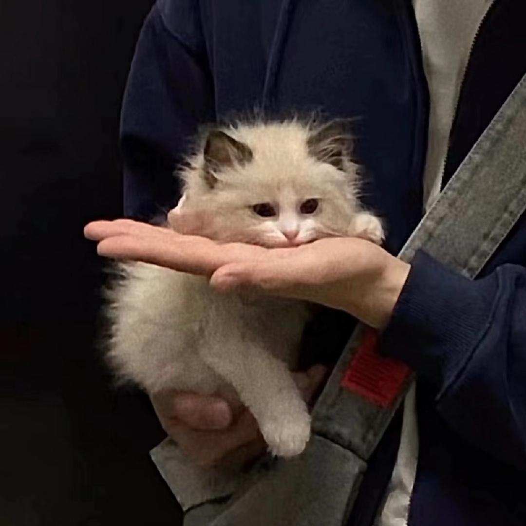 一二
