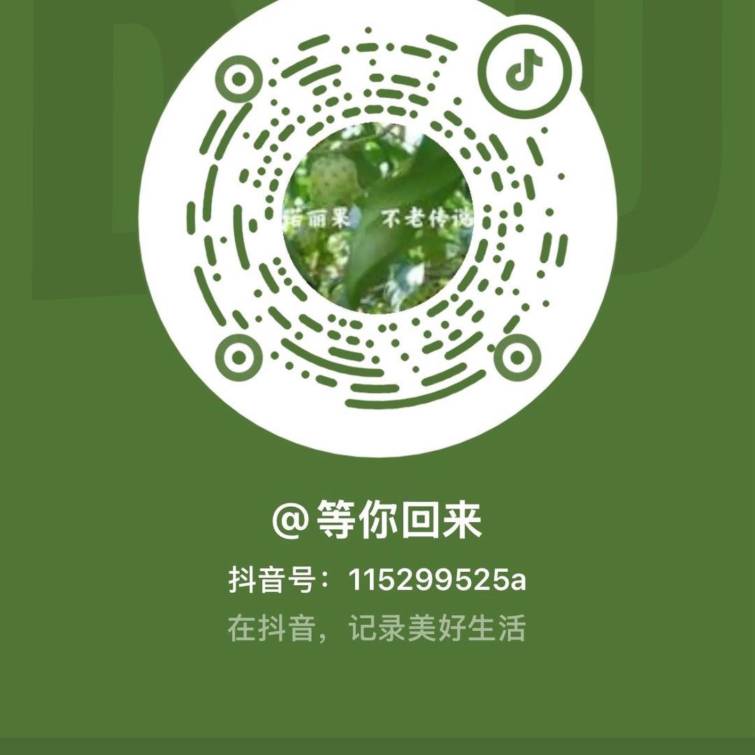 等你回来