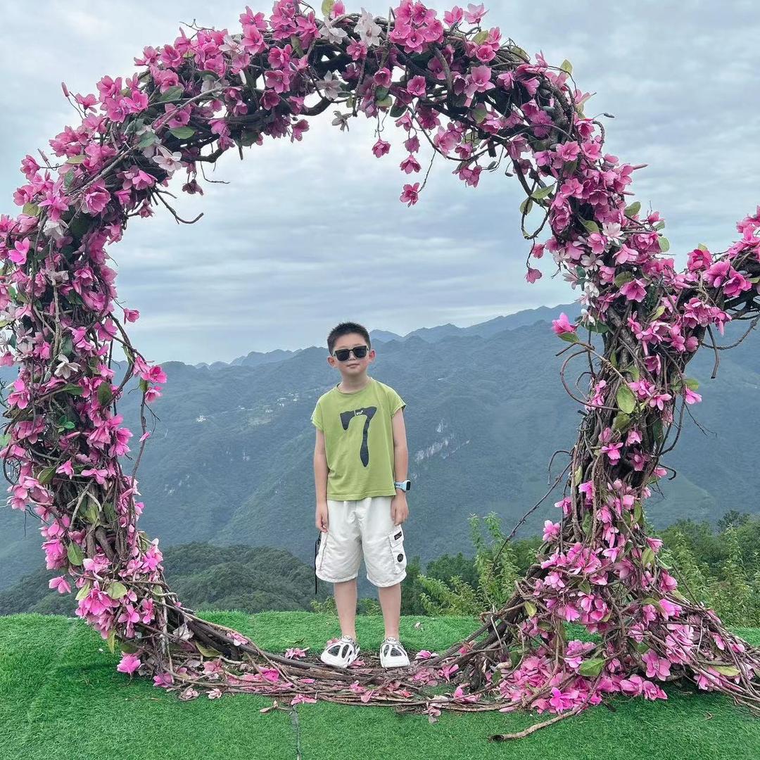 向阳花。