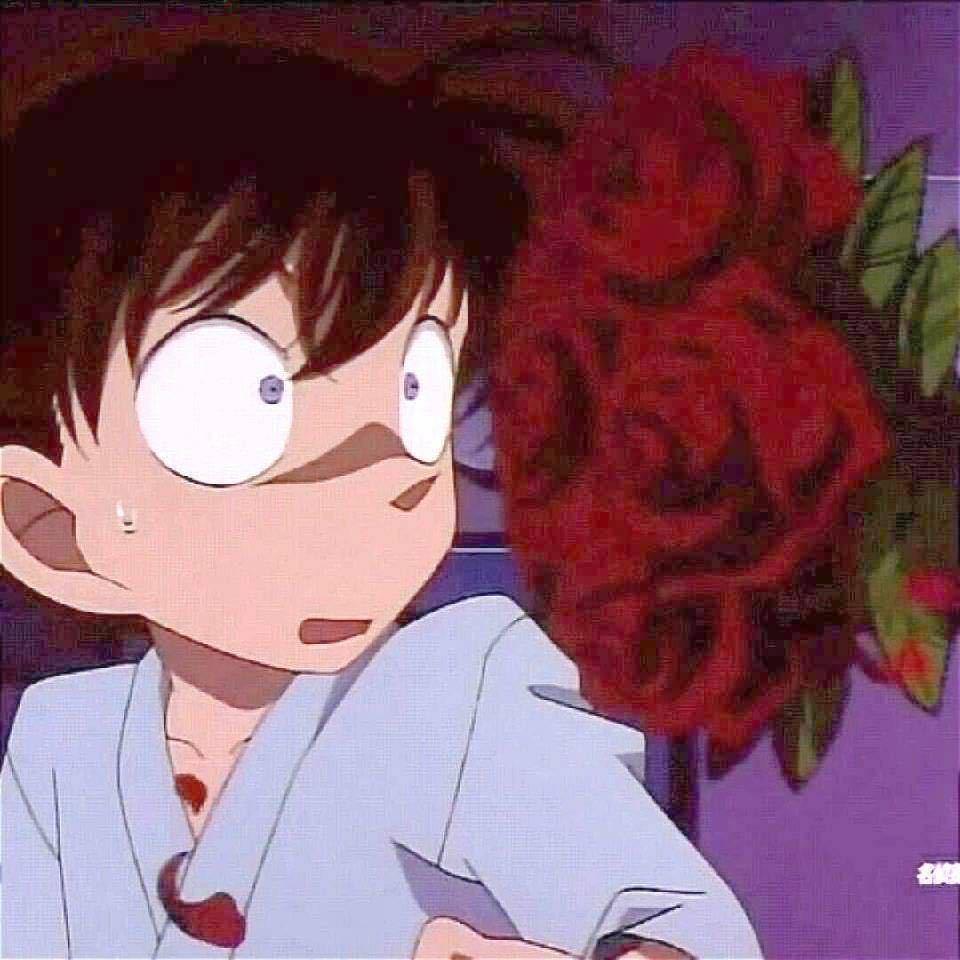 西北风好甜