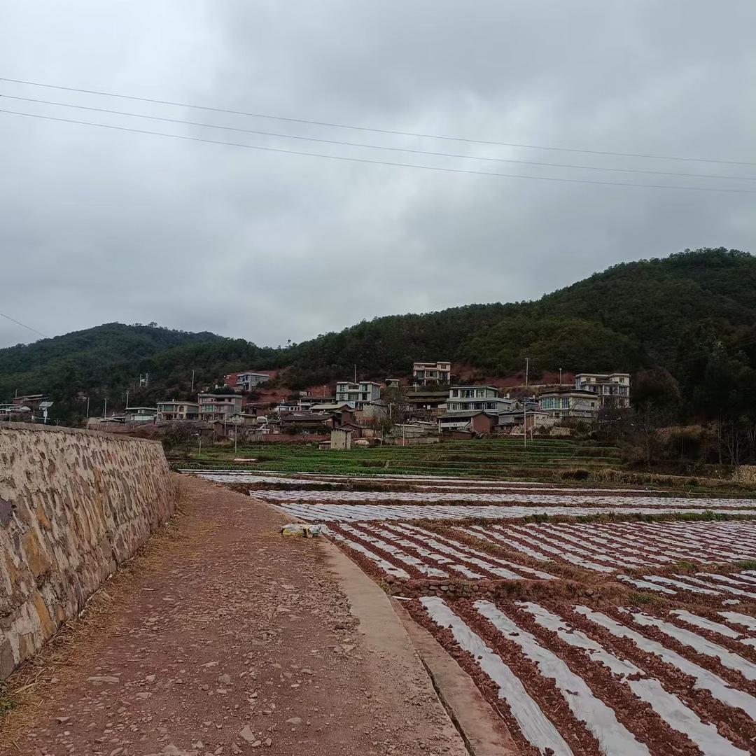 ℳঞ心碎了 ໌້ᮨ꧔ꦿ᭄才懂💕