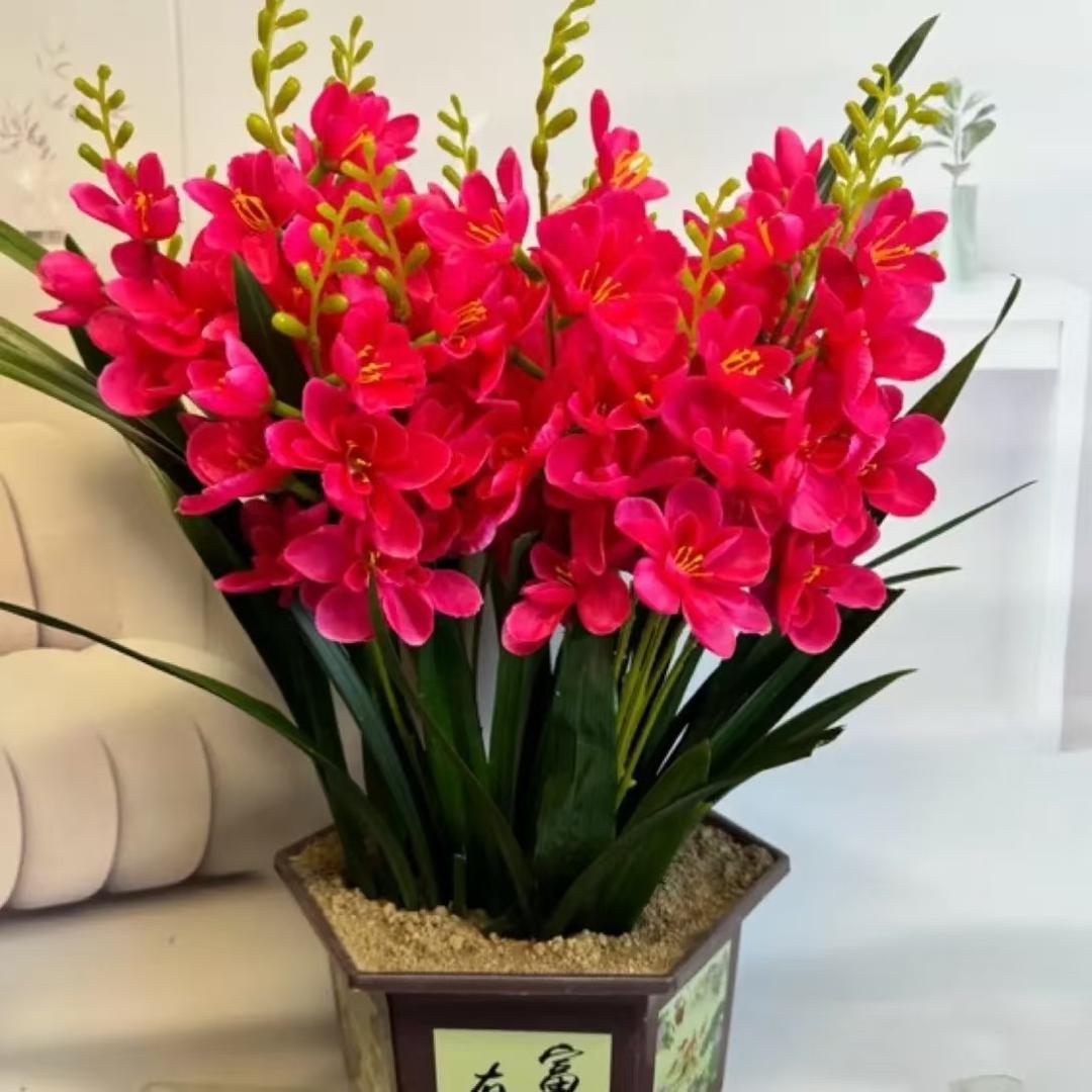 怡栩宝园艺