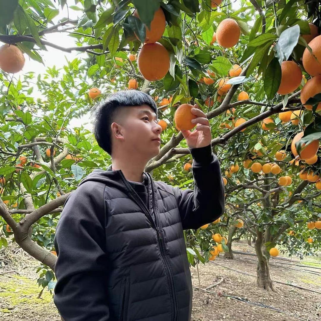 橙子果