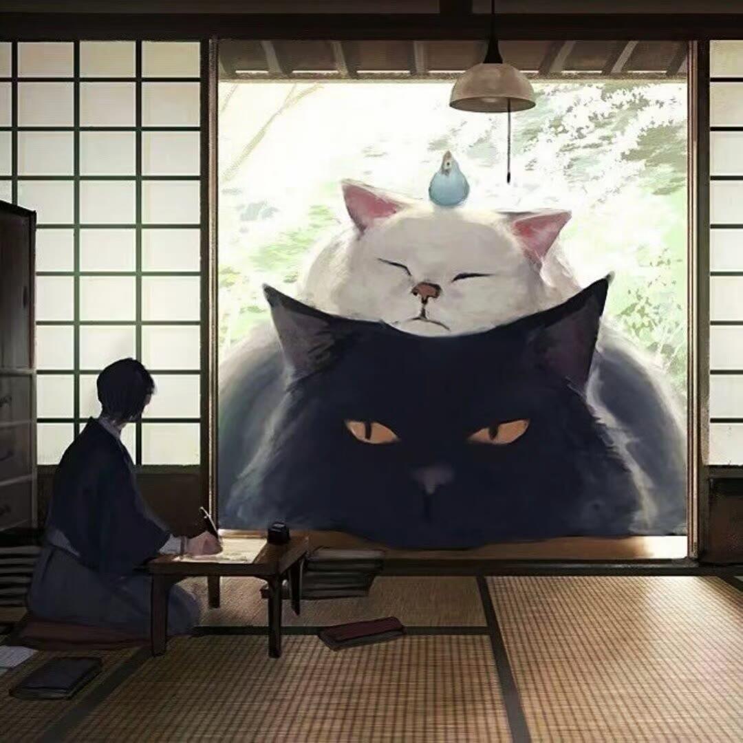 雾中舟