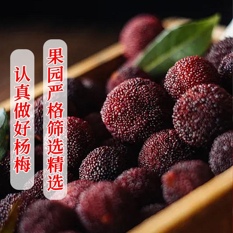 四川会理石榴