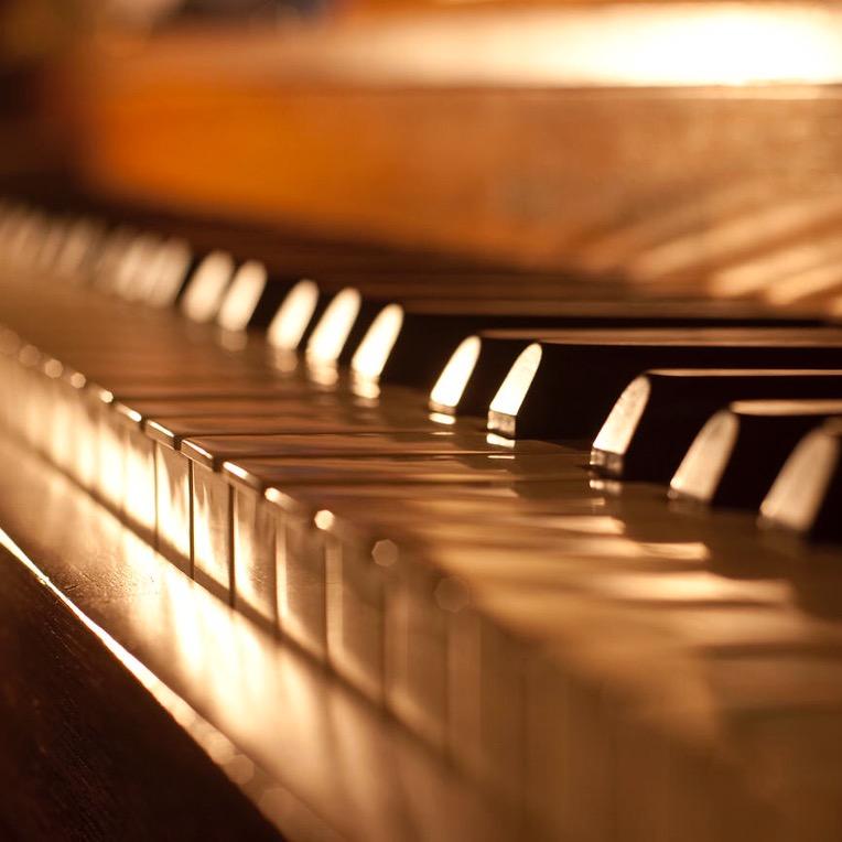 董董🎹