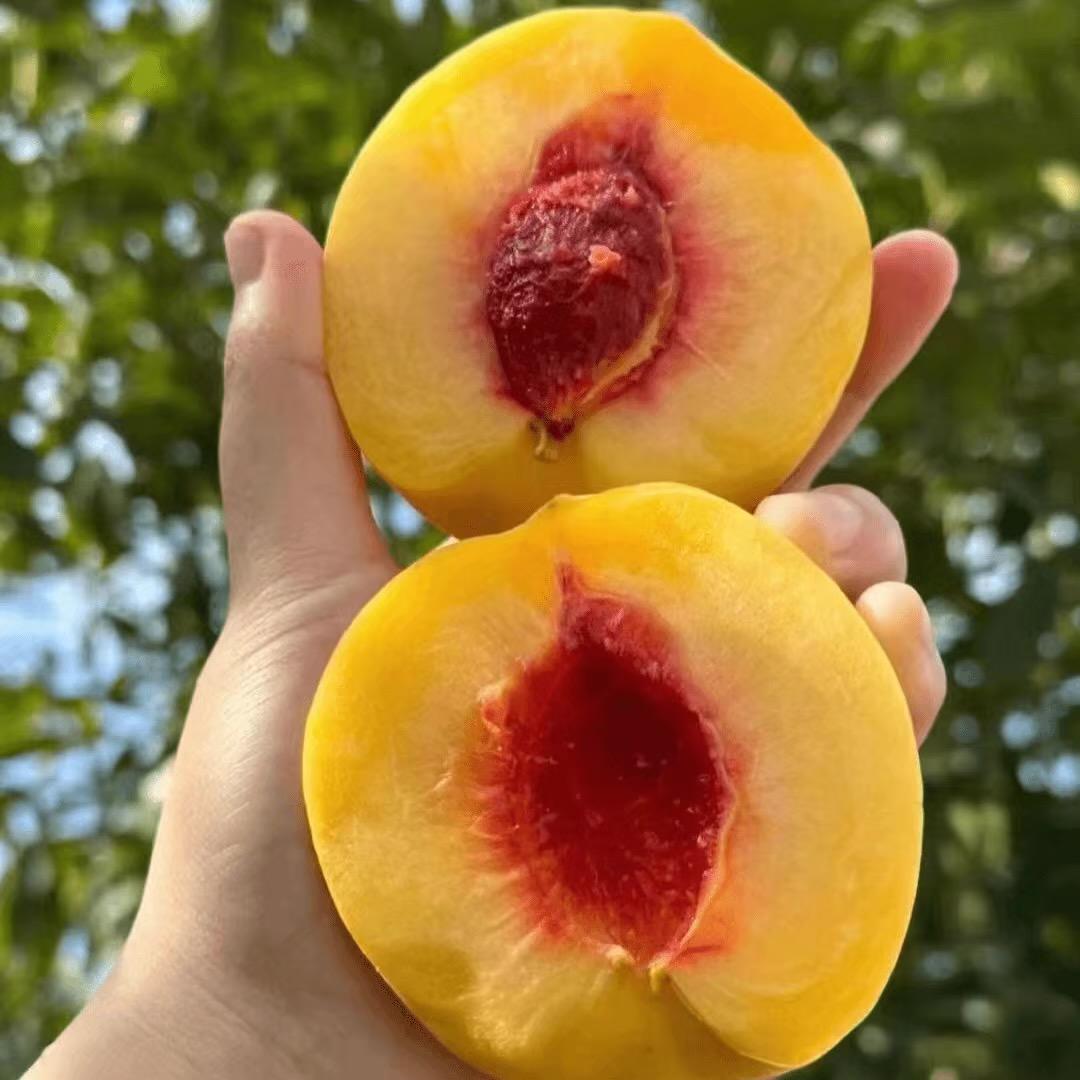 黄桃超级甜