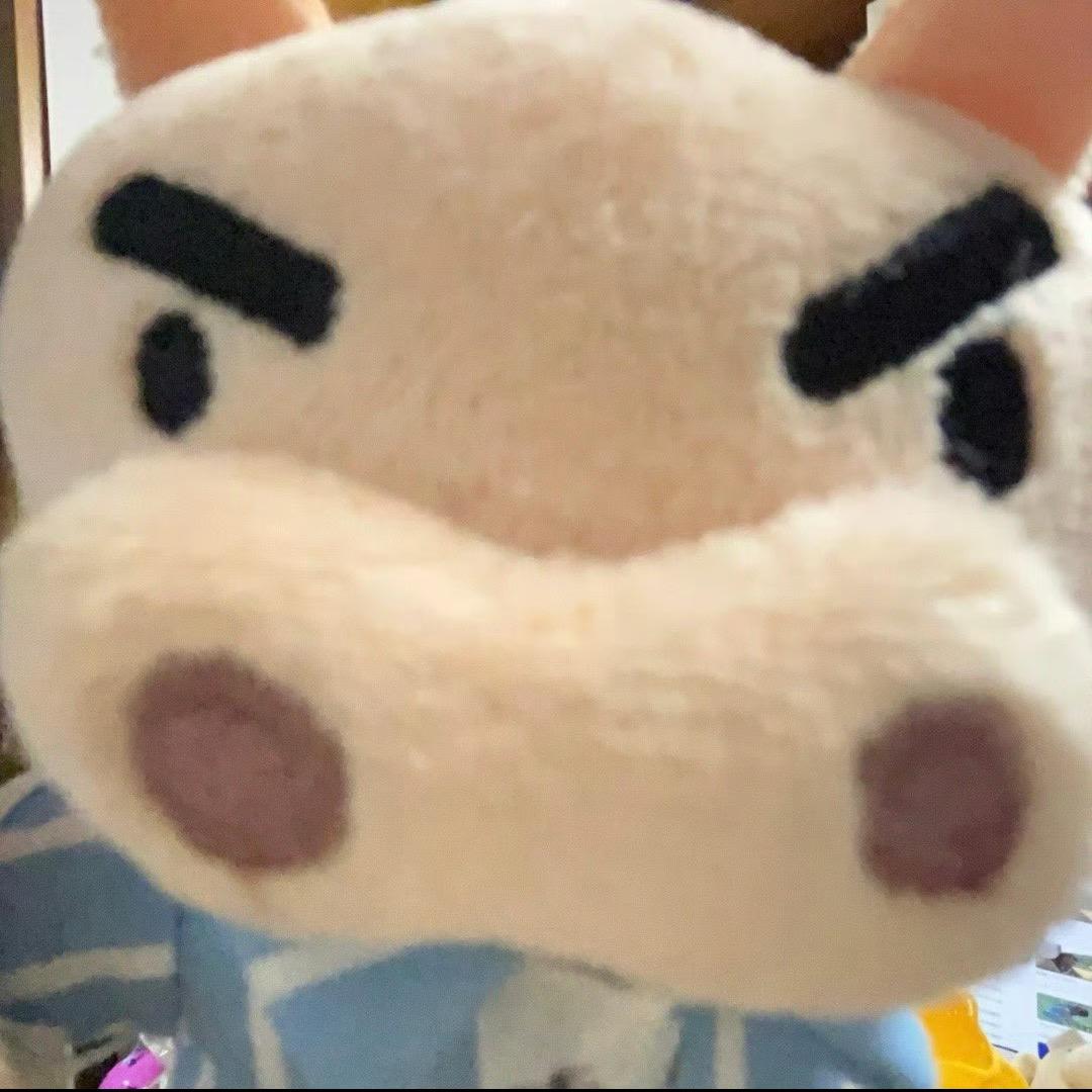 呆小王666