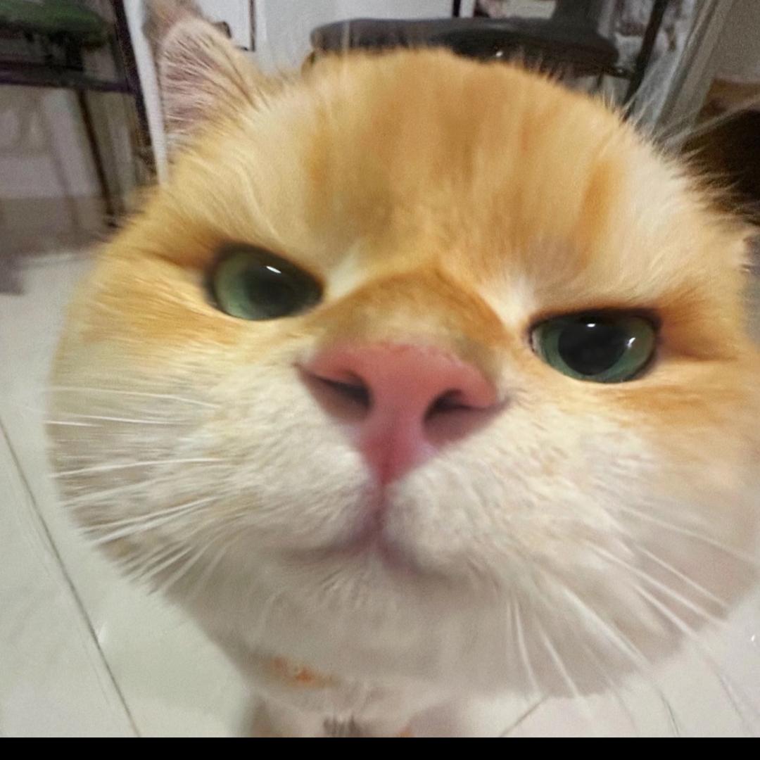 爱发呆。