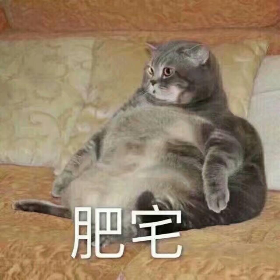 不会飞的小超人