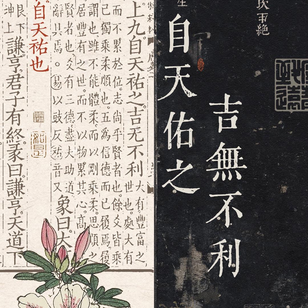 知枢密院事