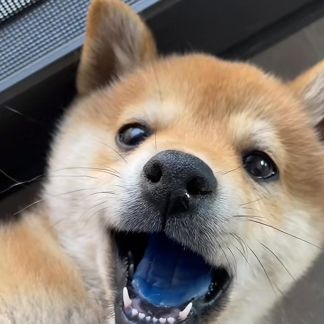 心中的剑