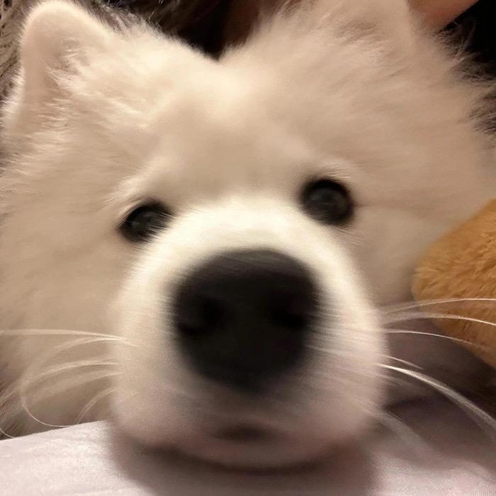 赵赵z