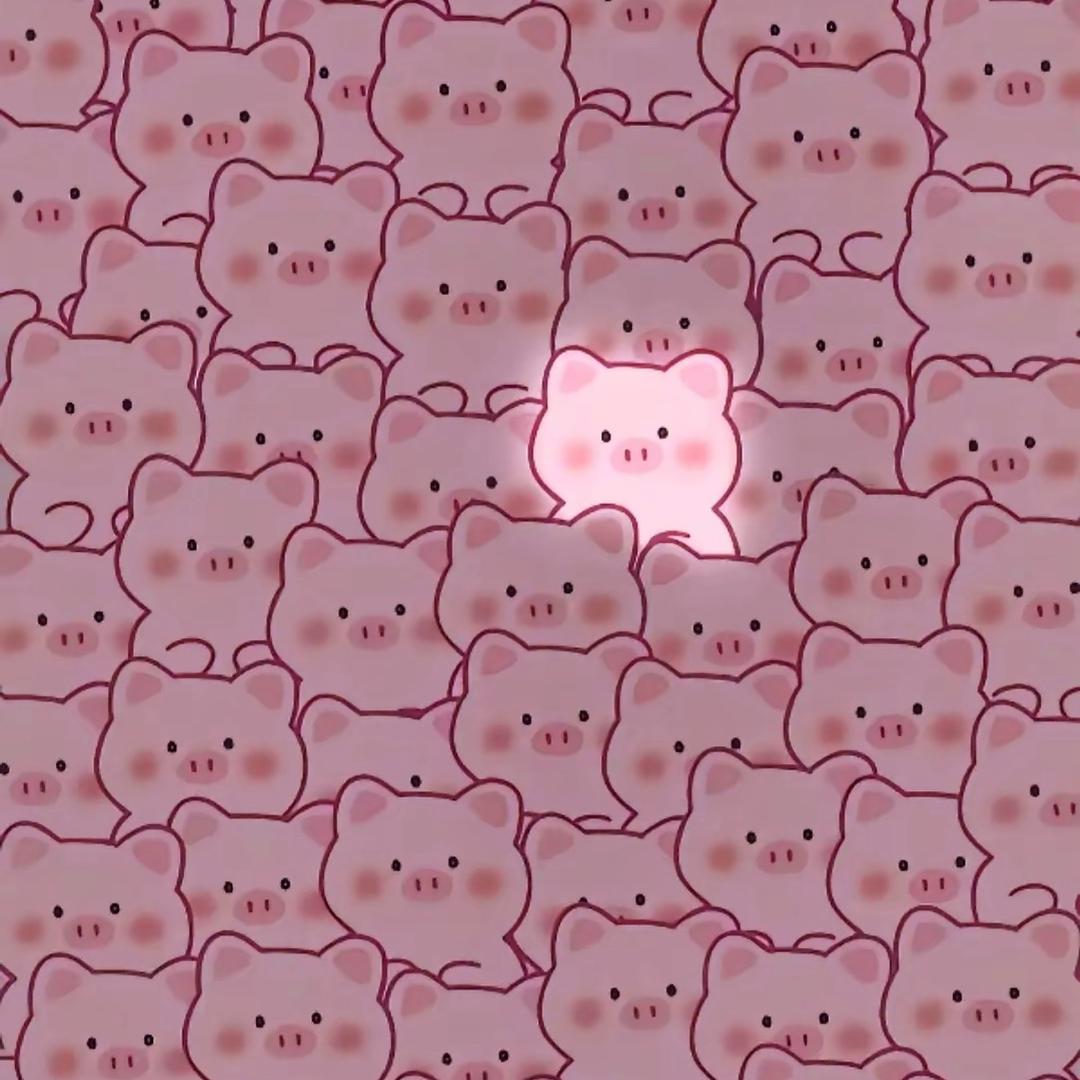 会发光的猪˗ˋˏ𓃟ˎˊ˗