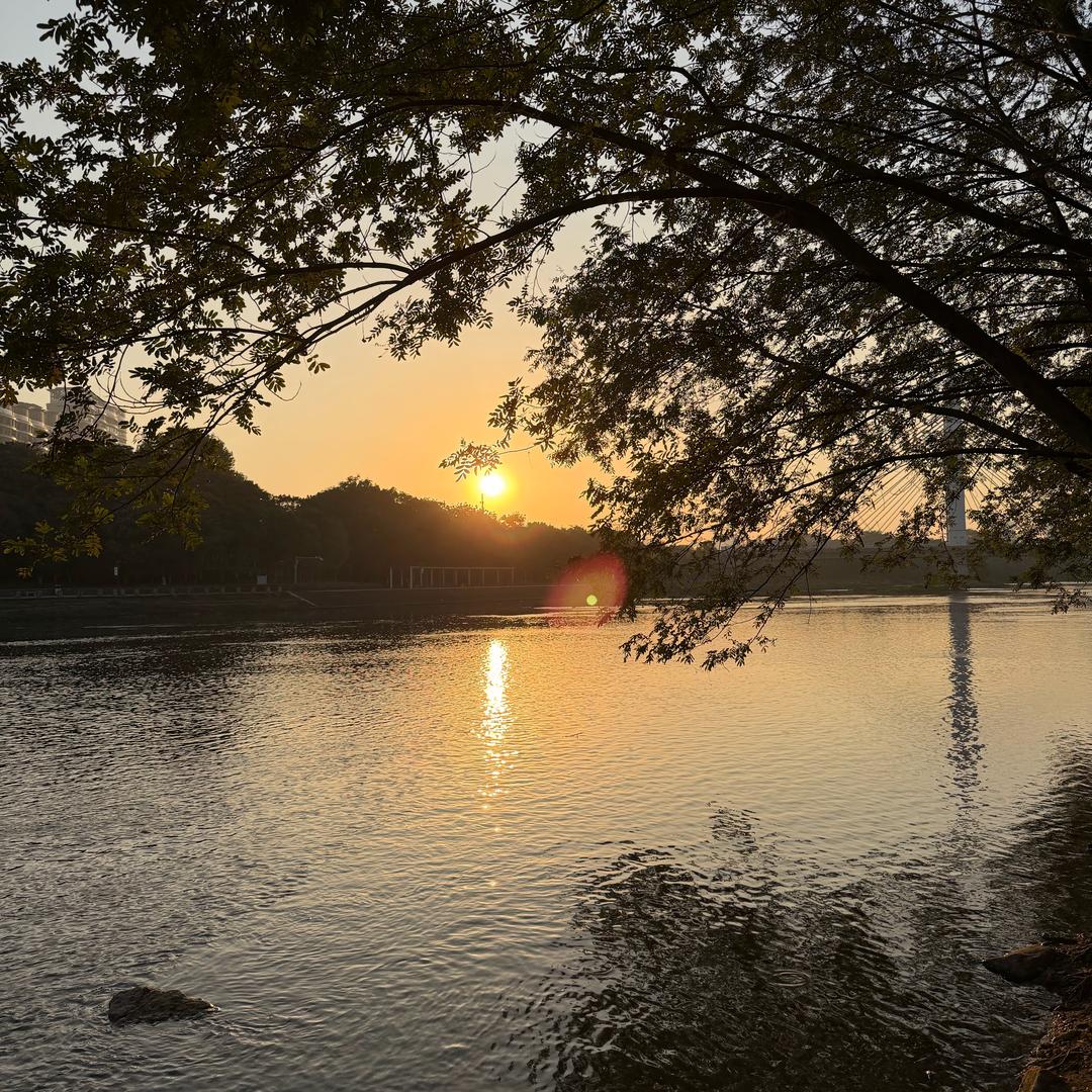 。，。，。，；：