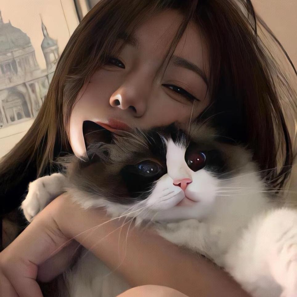 一只猫.