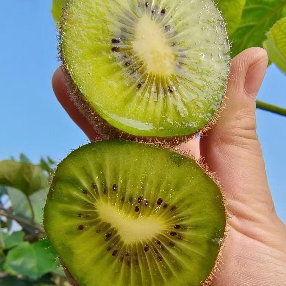 讯锋智汇臻选阁