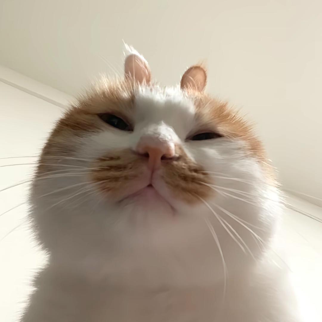 思绪冷