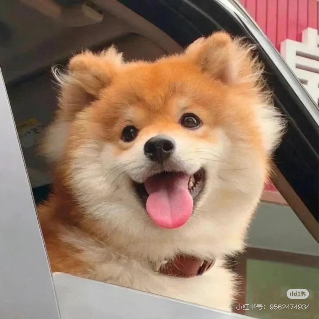 哒哒🦁