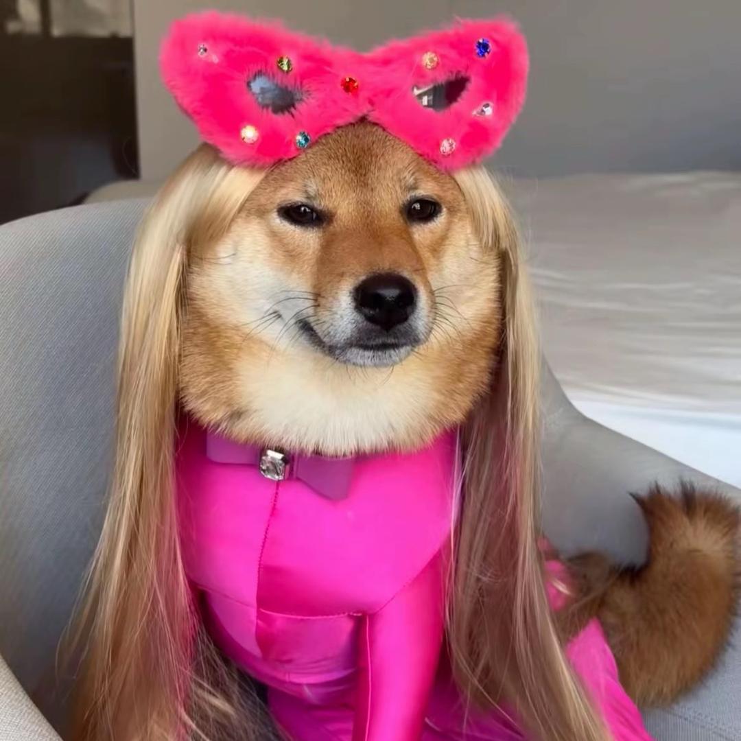 安静的小孙