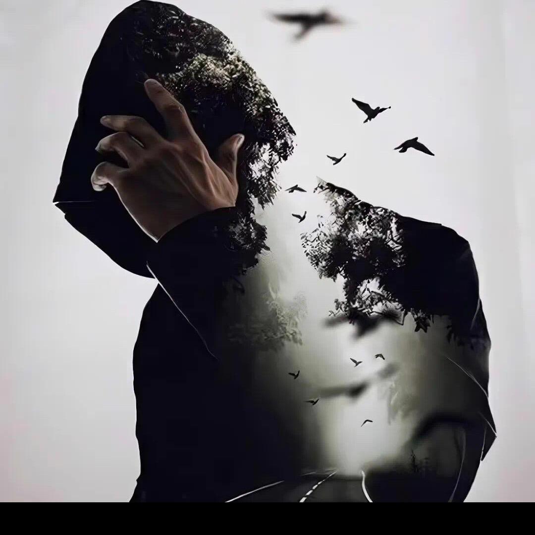 独行的浪子