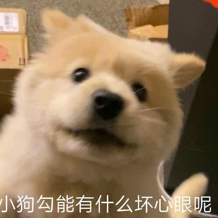 叁無