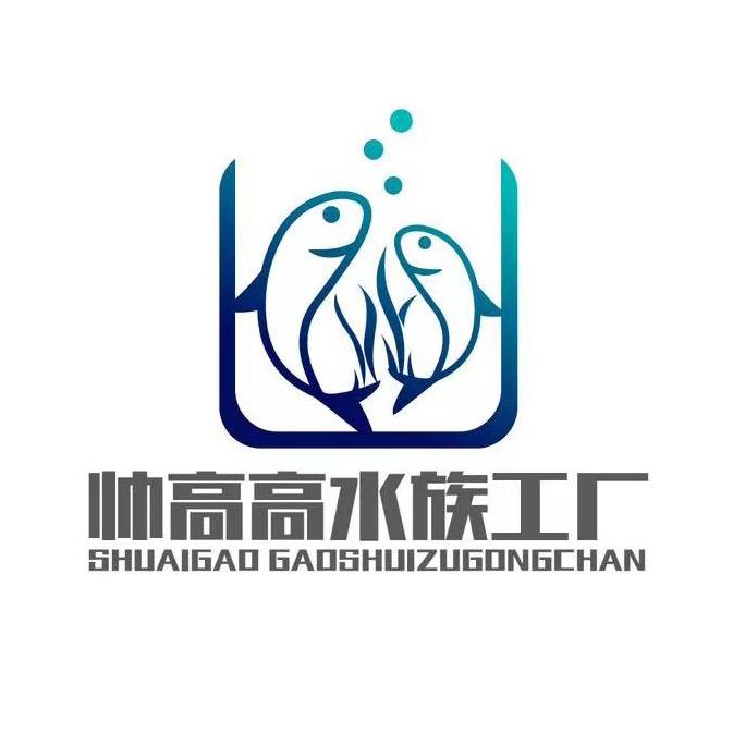 帅高高水族鱼缸直营工厂