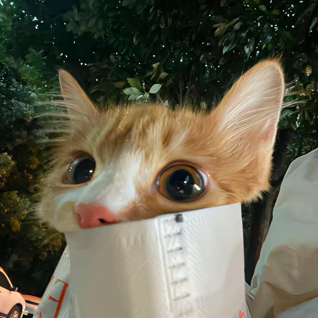 范小西