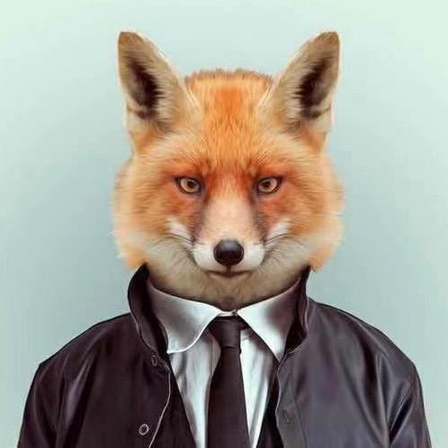 狐狸旅行🦊