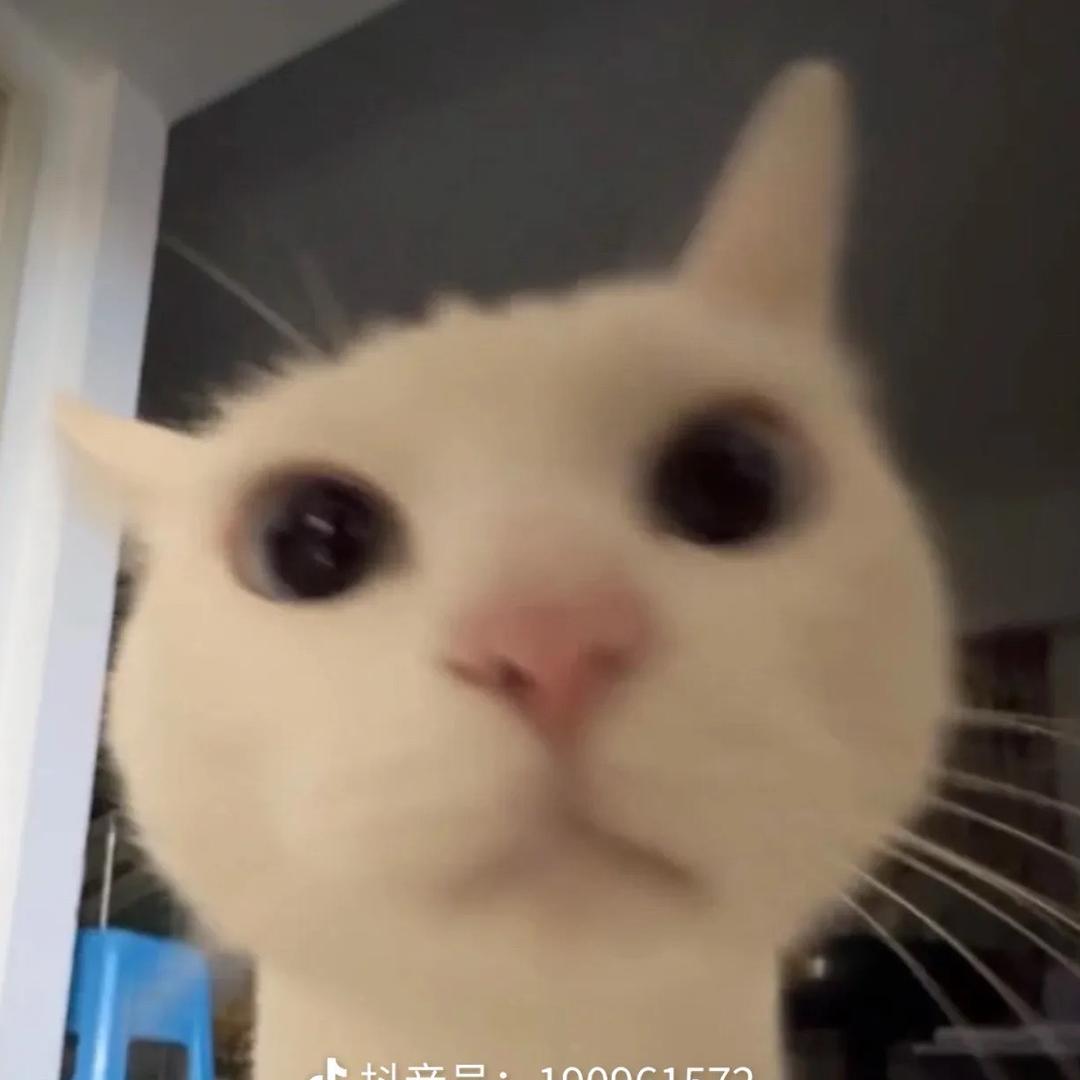 冉冉