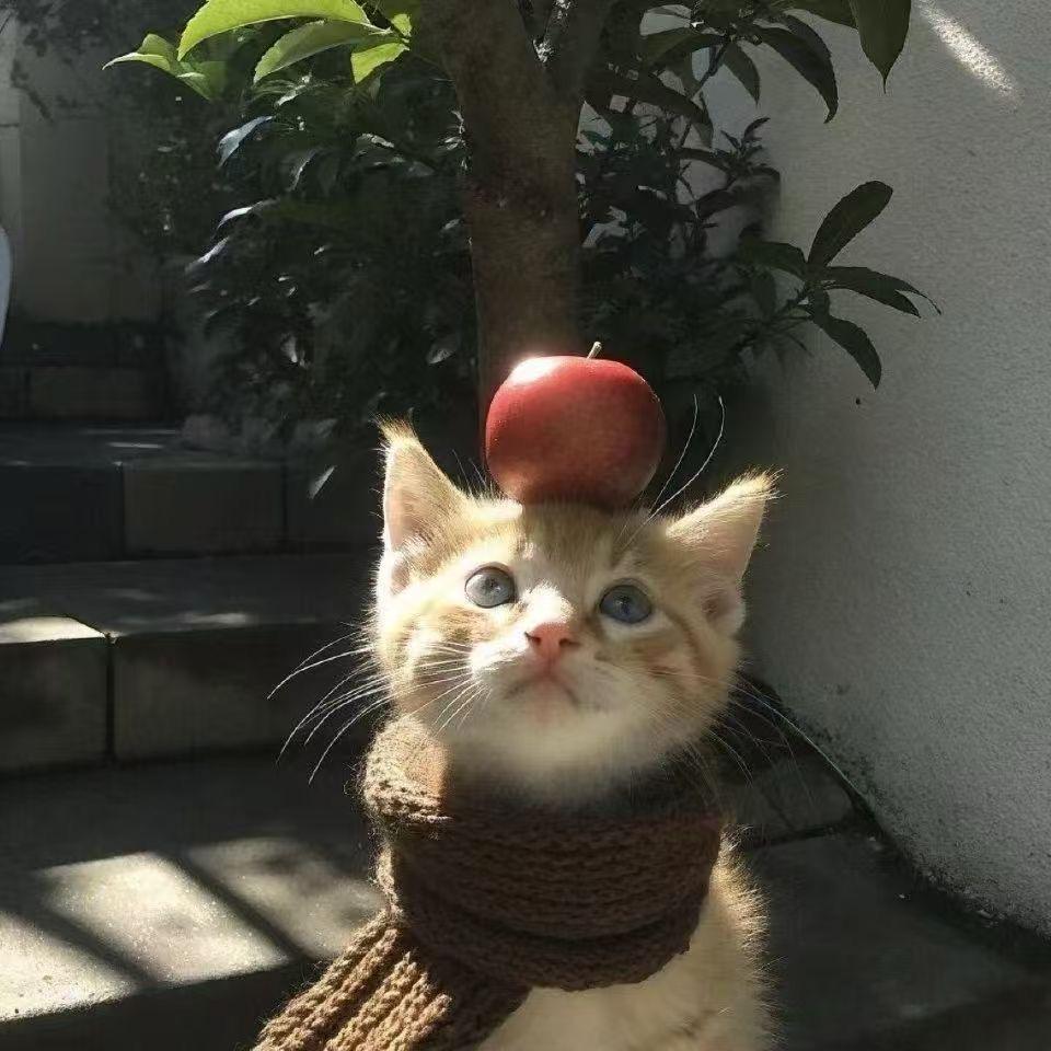:6