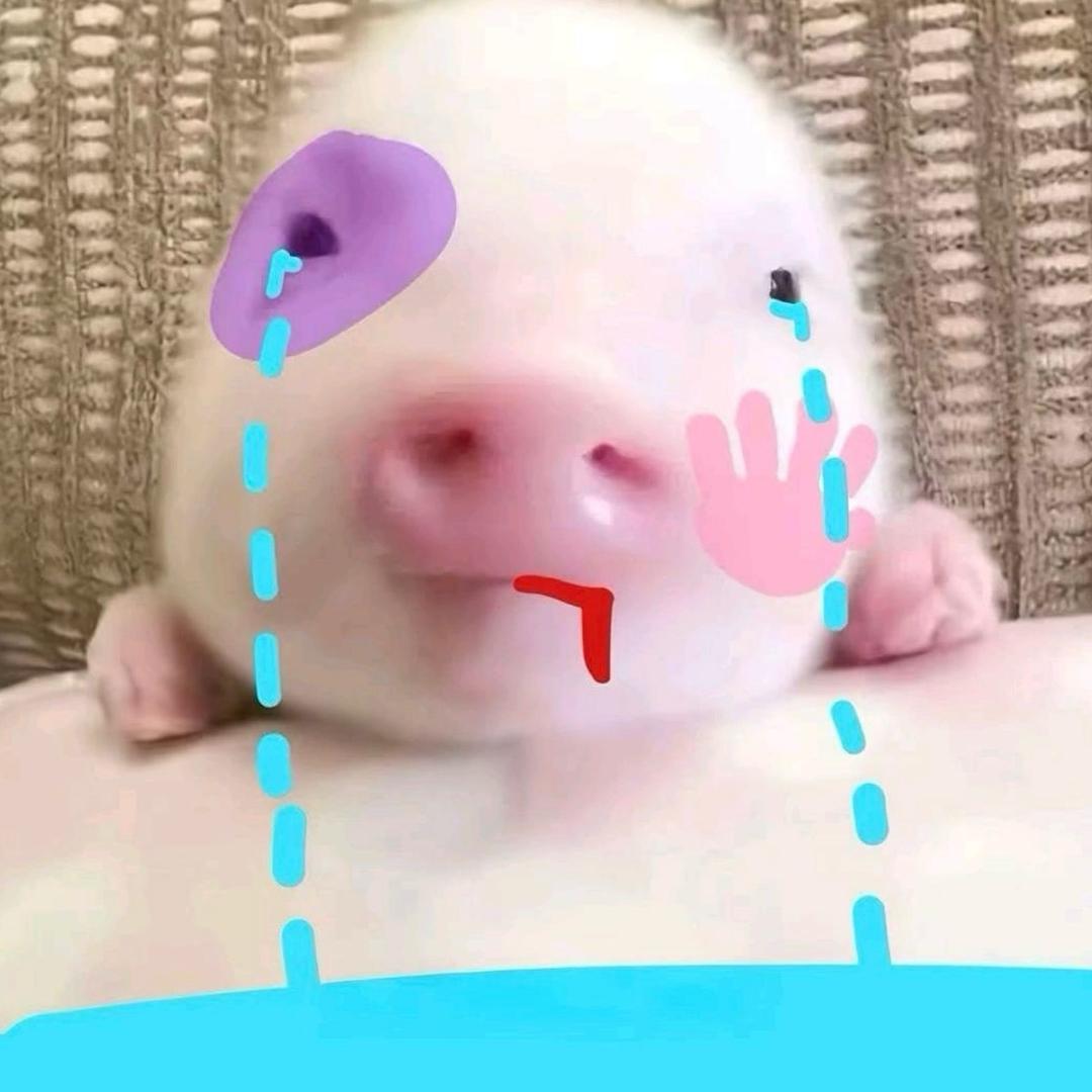 进击的学生党668