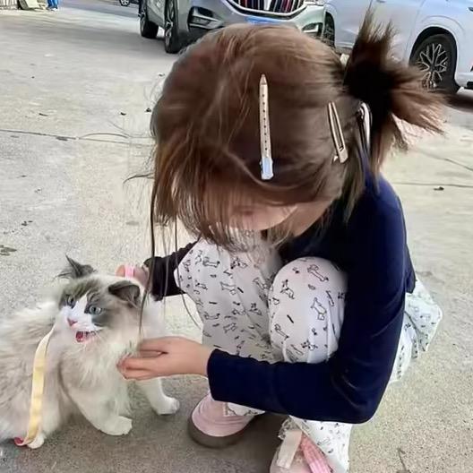 你怎么呆呆得